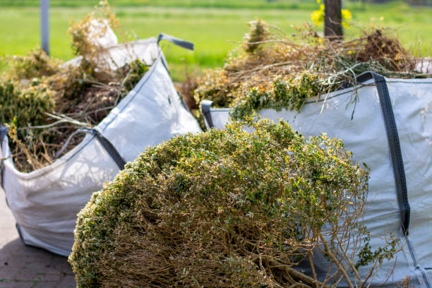 Best Attic Cleanout Services  in Edgewood, PA